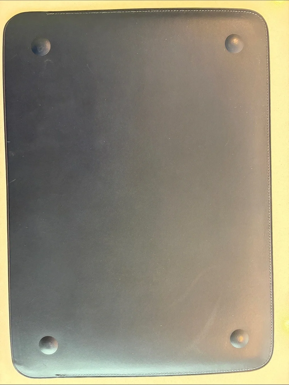Apple Leather Laptop Sleeve - Blue